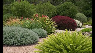 The Benefits of Growing Native Plants: Easy Care, Beautiful Gardens!