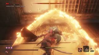 Sekiro™: Shadows Die Twice Ashina Elite Ujinari Mizuo no damage