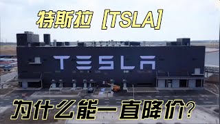 特斯拉为什么一直降价 | TSLA  | 新能源车厂 | 企业竞争力分析