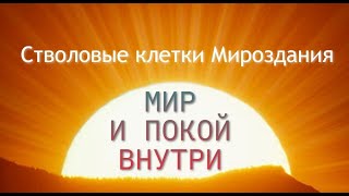 МИР И ПОКОЙ ВНУТРИ / Стволовые клетки Мироздания (перезалив)