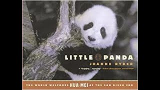 Little Panda: The world welcomes Hua Mei at the San Diego Zoo by Joanne Ryder Read Aloud