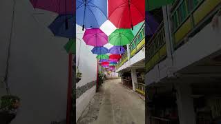 Stunning handmade umbrella walkthrough #shorts #4k