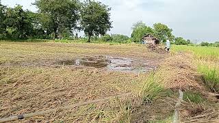 uji coba glebek traktor langsung di sawah milik sendiri part 2