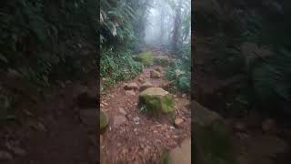 panca weleh gunung gede pangrango