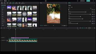 Adjust Video Effect Settings In CAPCUT PC 2023 (1 Min Tutorial)