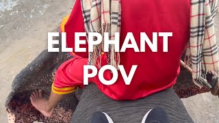 Amazing Elephant Ride Through Ancient Thailand Capital