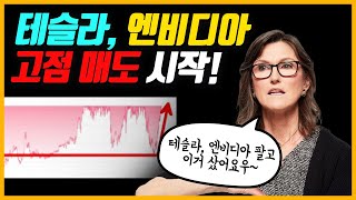 "테슬라 앤비디아 차익실현 하는거야??" 캐시우드.. 테슬라 엔비디아 팔기 시작하고 갈아탄 종목 2개는?