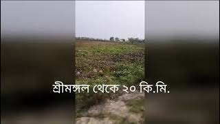 বাইক্কা বিল দর্শন, শ্রীমঙ্গল।  Visit Baikka bill at Sreemangal, Bangladesh