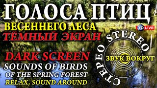 ЗВУКИ ПТИЦ ВЕСЕННЕГО ЛЕСА. ТЁМНЫЙ ЭКРАН 8 HOURS SOUNDS OF BIRDS OF THE SPRING FOREST Nature Sounds