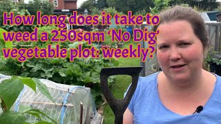 How long does it take to weed a 250sqm 'no dig' vegetable plot: weekly