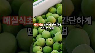 매실식초 집에서 간단하게 만드는 방법