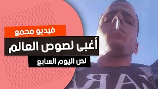 حرامي اليوم السابع مش غبي .. إليكم أغبى اللصوص في العالم