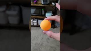 Ping Pong Trick Shot 2