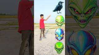 parrot pingen crow peacock 🦚 #shortsfeed_ #viralvideos #shortvideos #short