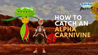 How to Catch an Alpha Carnivine in Pokemon Legends Arceus