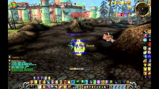 Paladin Awesome Ret PvP lvl 85 Cataclysm - World of Warcraft - Phoenixlight 2