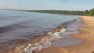 Дельта ручья.Ладога. Поездка в Чайку 11.06.21  Пионерский Лагерь 'ЧАЙКА'. ВНИИСК.  Черемухино