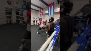 They Look Ready Pro Style Adan vs Dominique Mid Week Sparring #sparring #boxing