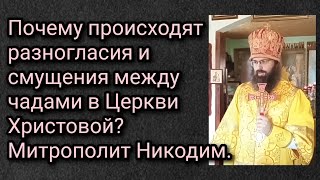 Почему происходят разногласия и смущения между чадами в Церкви Христовой? Митрополит Никодим.