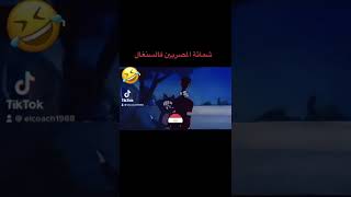 شماتة المصريين فمنتخب السنغال