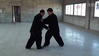 Bagua Zhang 八卦掌 - A Glimpse into 64 Straight Palms  六十四手