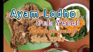 Ayam Lodho Pak Yusuf | Resep Asli Trenggalek Sejak 1987 | Kuliner Tulungagung