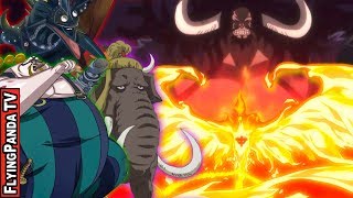 KAIDO - FINAL "FOURTH" YONKO COMMANDER Confirmed?!! - “THE KNIGHT” (One Piece)