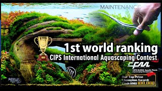 Maintenance untuk Aquascape Contest