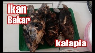 Ikan bakar kalapia besar dan sedap