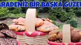 Karadeniz Bir Başka