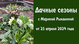 Дачные сезоны с Мариной Рыкалиной от 25 апреля 2024 года