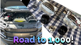 Building a 1,000HP SHELBY SUPER SNAKE F150