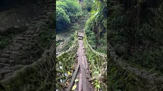 Double living root bridge in East Khasi Hills . #Meghalaya #Shillong #Sohra #nature