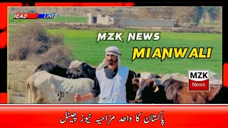 Election 2024 result 😂 in pakistan | mzknews Election funny News clip....