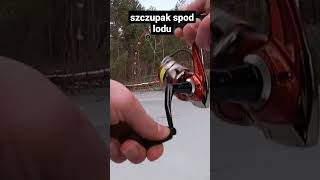 SZCZUPAK NA ŻYWCA SPOD LODU | Life Fishing Wędkarstwo