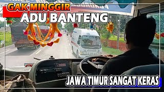 UNTUNG SEMUA MINGGIR‼️KALAU GAK MINGGIR BISA ADU BANTENG😓