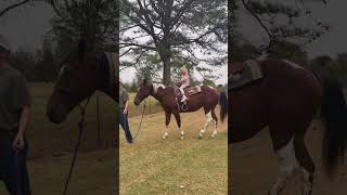 Ava’s First Horse Ride!!!