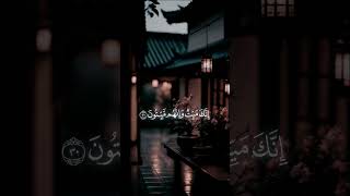 الشيخ ماهر المعيقلي #youtubeshorts #اكسبلور #قران #قرانكريم #ادعية #تصميمي #اكسبلورفولو #تيك_توك