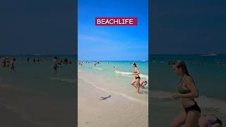 Beachvibes USA #viral #beach #shortvideos #travel #shorts