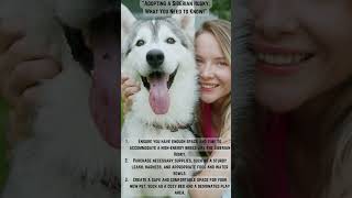 Adopting Siberian Husky: What You Need to Know to Get Started #youtubeshorts #shorts #petcaretips