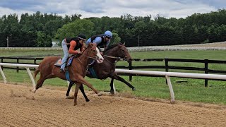 Lexington Moon (blue) and Chattolanee Spring (orange) breeze a 1/4 and gallop out 3/8ths on 5/11.