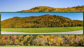 Vermont Leaf Peeping 6 Oct 2016