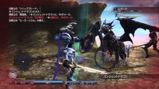 White Knight Chronicles 2 (JAP): story one random boss fight