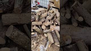 cutting fire wood  with Remington electric chain saw