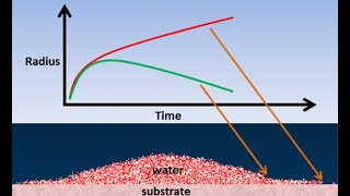 Spreading Dynamics of Water Droplets on a Completely Wetting Surface | Mesfin Tsige | U Akron