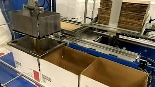 Model PPL-120 RSC Pick and Place Case Packer