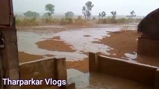 Tharparkar monsoon Rain 2022