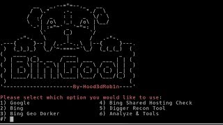 How to Install BinGoo Web Vulnerablity Scanner on Kali Linux