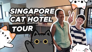 Singapore Cat Hotel Tour! (Cat Boarding Singapore)