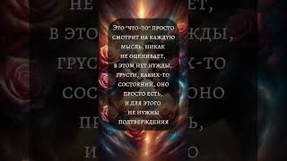 #близнецовоепламя #близнецовыепламена #twinflames #родныедуши